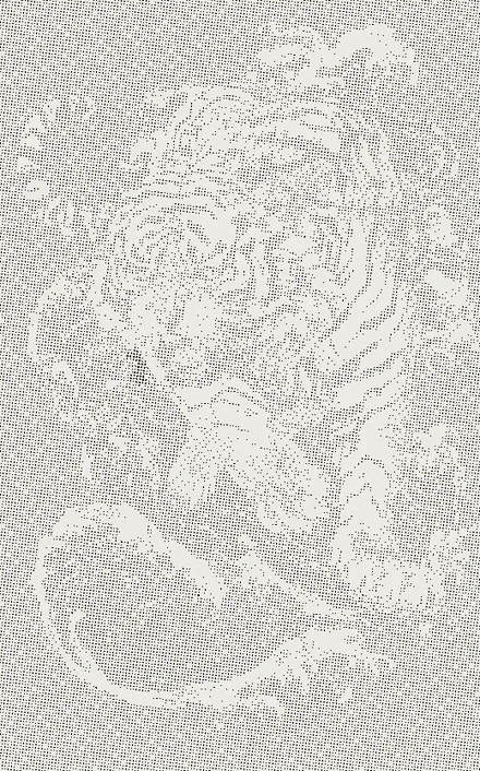 Separation plate 1